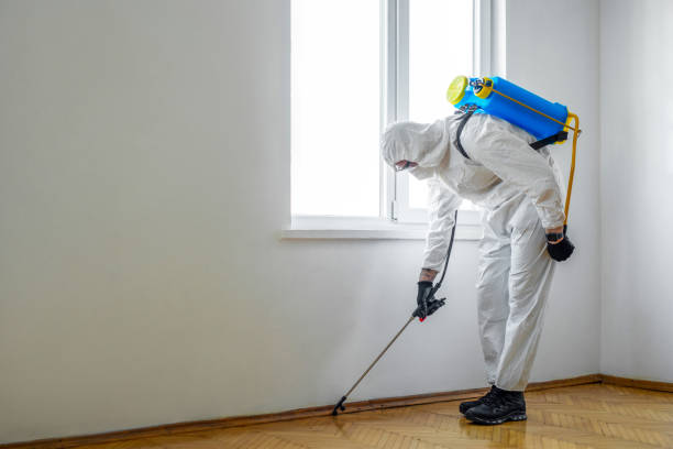 Pest Prevention Services in George West, TX