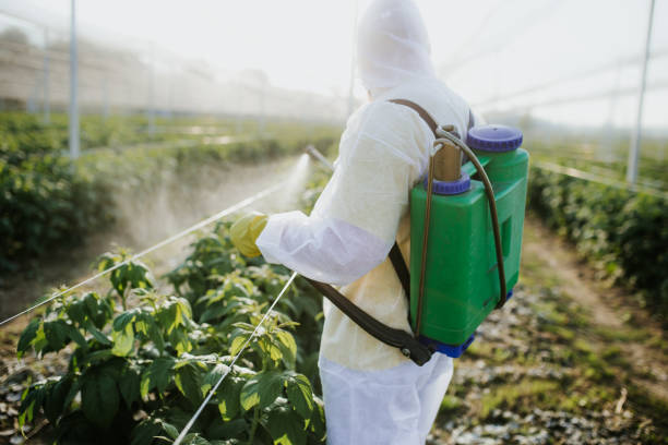 Best Pest Control Near Me  in George West, TX